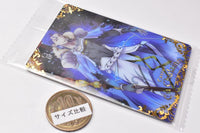 Fate/Grand Order Twin Wafer Special [3.Caster/ Cu Chulainn]