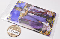 Fate/Grand Order Twin Wafer Special [14.Caster/ Chen Gong]