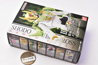 SHODO DOUBLE CROSS Kamen Rider 6 [2.Kamen Rider Zangetsu Melon Arms]