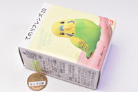 Tenori Friends Part.10 [1.Budgie opaline green]