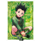 Itajaga HUNTER x HUNTER Part.2 [22.Gon (SP)(gold foil stampined)]