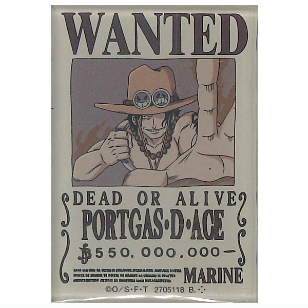 ONE PIECE  Character Magnets [21.secret : Portgas.D.Ace]