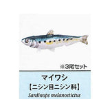 Primary color saltwater fish Illustrated Book [8.Maiwashi (3pcs set)]