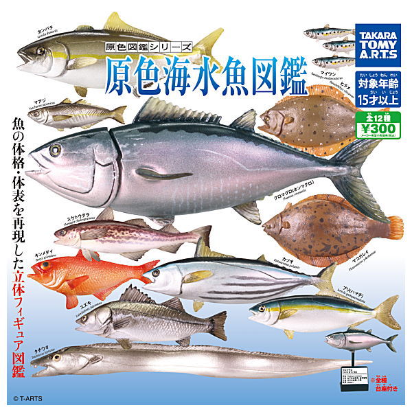 Primary color saltwater fish Illustrated Book [All 12 type set(Full Complete)]