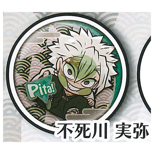 Pita! Deforme Kimetsu no Yaiba Can Badge vol.3 [9.Sanemi Shinazugawa]