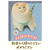 Animal attraction Pomesanpo [3.Sanpokarakaeritakunai Pomeranian (White)]