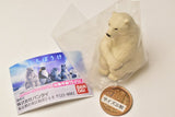 Machiboke Part.4 [1.Polar bear]