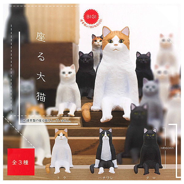 Animal (Cat) – Page 201 – toysantajp