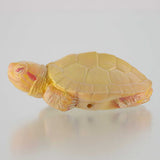 Capsule Q Museum Good Luck Charm Osaifukame vol.2 [4.Trachemys scripta (albino type)]