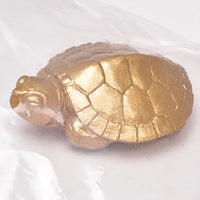 Capsule Q Museum Good Luck Charm Osaifukame vol.2 [6.Rare color: Trachemys scripta elegans (gold)]