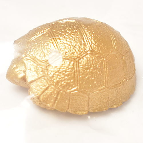 Capsule Q Museum Good Luck Charm Osaifukame vol.2 [7.Rare color: Chelonoidis carbonarius (gold)]