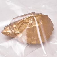 Capsule Q Museum Good Luck Charm Osaifukame vol.2 [8.Rare color: Sternotherus carinatus (gold)]