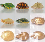 Capsule Q Museum Good Luck Charm Osaifukame vol.2 [All 9 type set(Full Complete)]