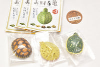 Capsule Q Museum Good Luck Charm Osaifukame vol.2 [Assorted 3 type set (2.Chelonoidis carbonarius/3.Sternotherus carinatus/5.Lissemys punctata andersoni)]