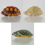 Capsule Q Museum Good Luck Charm Osaifukame vol.2 [Assorted 3 type set (2.Chelonoidis carbonarius/3.Sternotherus carinatus/5.Lissemys punctata andersoni)]