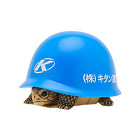 Helmet + turtle [4.blue]