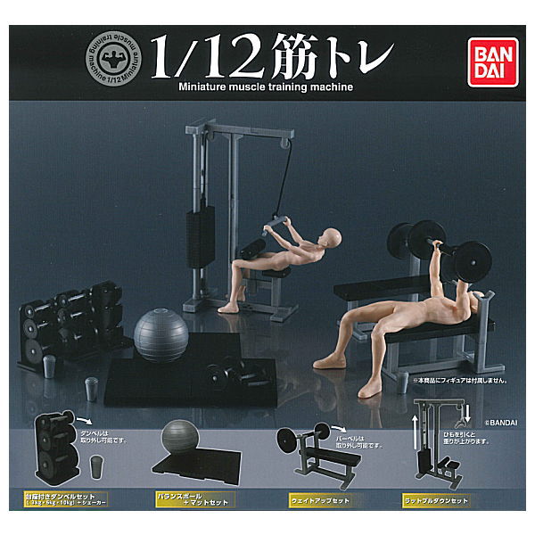1/12 Miniature muscle training machine [All 4 type set(Full Complete)]