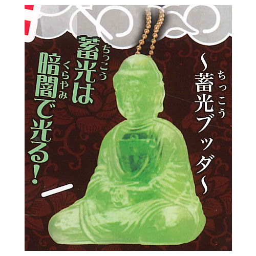 Buddha! Pokupokuchi-n! Mikoto [5.Phosphorescent Buddha]