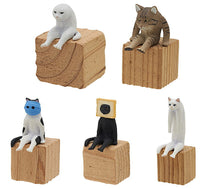 Strange cat sitting [All 5 type set(Full Complete)]