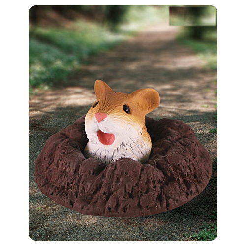 Surprised Animals [5.Surprised Wild mouse]