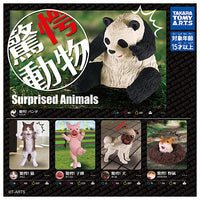 Surprised Animals [All 5 type set(Full Complete)]