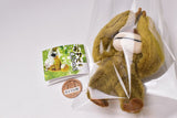 Plush Doll monkey [2.Orangutan]