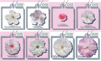 Science Technicolour Sakura acrylic mascot [All 8 type set(Full Complete)]