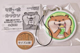 Kawaii uso no Kawauso Capsule rubber strap [5.E type]