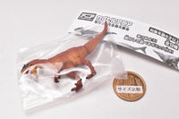 Capsule ANIA Dinosaurs and ancient creatures [6.Allosaurus (child)]