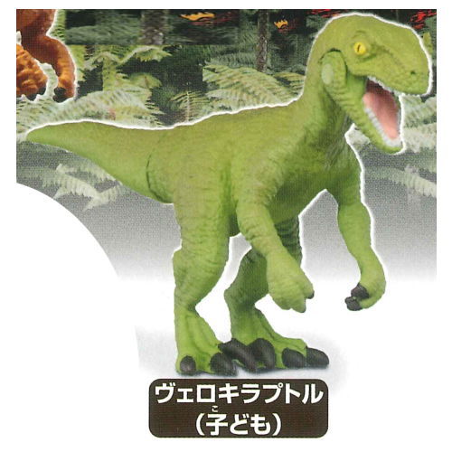 Capsule ANIA Dinosaurs and ancient creatures [8.Velociraptor (child)]