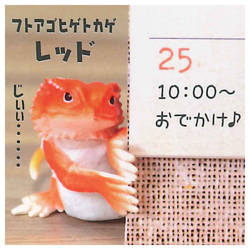 Chirattonozokimi Leopatachi [1.Bearded Dragon Red]