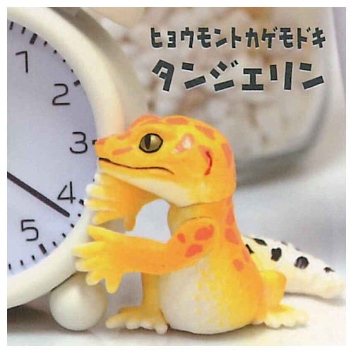 Chirattonozokimi Leopatachi [2.Leopard Gecko Tangerine]