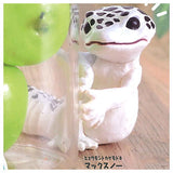 Chirattonozokimi Leopatachi [3.Leopard Gecko Mac Snow]