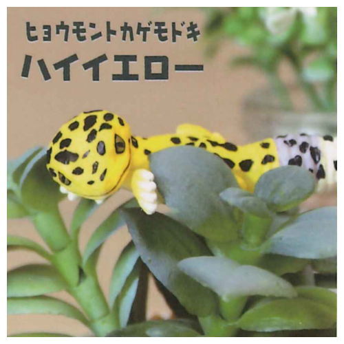 Chirattonozokimi Leopatachi [5.Leopard Gecko High Yellow]