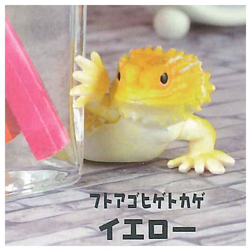 Chirattonozokimi Leopatachi [6.Bearded Dragon Yellow]