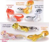 Chirattonozokimi Leopatachi [All 6 type set(Full Complete)]