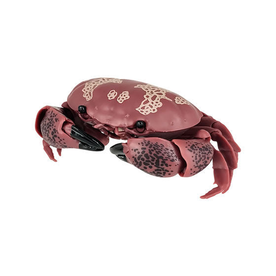 Crab Gashapon [2.Atergatis floridus]