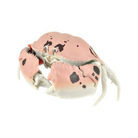 Crab Gashapon [4.Calappa philargius]