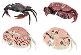 Crab Gashapon [All 4 type set(Full Complete)]