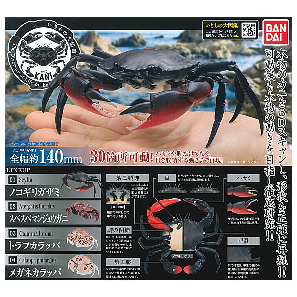 Crab Gashapon [All 4 type set(Full Complete)]