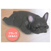 Munyamunya- A big French bulldog! [8.Black (Sleep)]