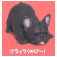 Munyamunya- A big French bulldog! [11.Black (Nobi -)]