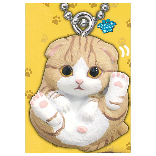 Manmaru Animals Manmaru Cat Mascot  [3.Scottish Fold (Chashiro)]