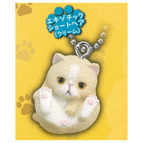 Manmaru Animals Manmaru Cat Mascot  [5.Exotic shorthair (Cream)]