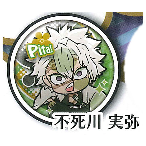 Pita! Deforme Kimetsu no Yaiba Can Badge vol.4 [6.Sanemi Shinazugawa]