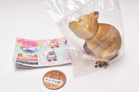 Gokuraku Handling Figure Animal Idol Edition Series Part.2 [1.Quokka wallaby (brown)]