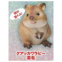 Gokuraku Handling Figure Animal Idol Edition Series Part.2 [1.Quokka wallaby (brown)]