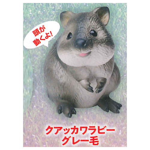 Gokuraku Handling Figure Animal Idol Edition Series Part.2 [2.Quokka wallaby (gray)]