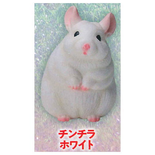 Gokuraku Handling Figure Animal Idol Edition Series Part.2 [4.Chinchilla (white)]