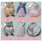 Gokuraku Handling Figure Animal Idol Edition Series Part.2 [Normal 6 type set(Secret is NOT including)]